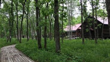 観光スポット / 14