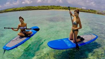 サーフィン / ボディボード / 1