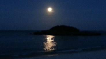 施設からの眺望 / 28