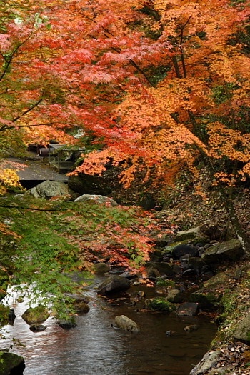 2）三郎の滝【府中】741912