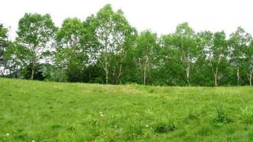 施設の敷地 / 23