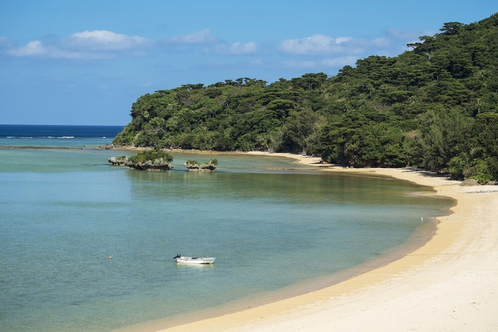 ビーチ / オーシャン ビュー