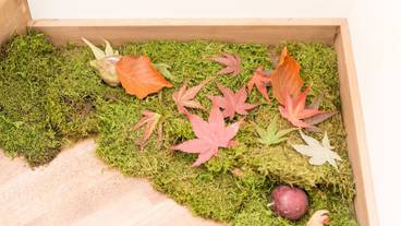 部屋からの景観 / 31