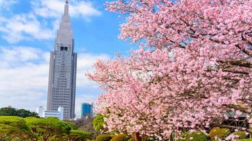 観光スポット / 1