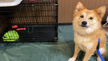 客室の設備とサービス / 16