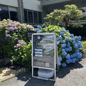 黒川温泉 瀬の本高原ホテル（熊本県 リゾートホテル） / 3