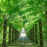 【東日本】気負わずゆるっとハイキング♪大自然と眺望を満喫できるスポット6選