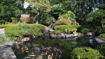 ABBA RESORTS IZU 坐漁荘（アバ リゾーツ イズ ザギョソウ） / 3