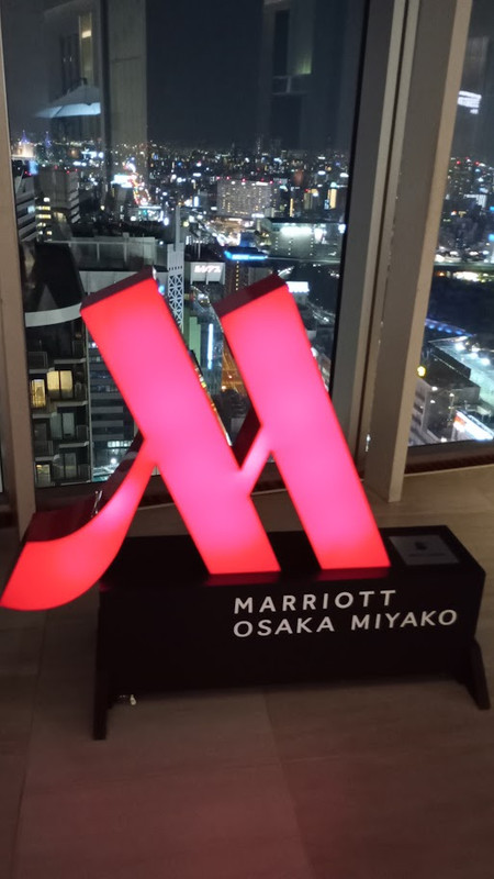 西向きの夜景です