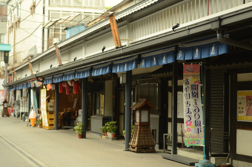 花やしき通り960968