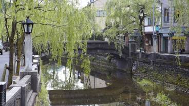 シティ ビュー / 15