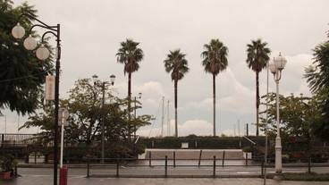 施設からの眺望 / 14