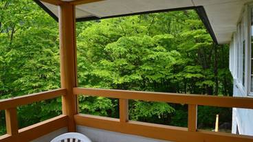 テラス / パティオ / 6