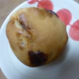 ミジンコ食堂(ミジンコショクドウ)