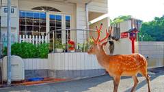 プチホテル 古っ都ん100％