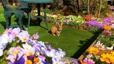 施設からの眺望 / 10