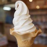 ピネキ（ピネキ）