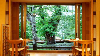 「奥日光」の大自然に癒やされて過ごす3927719