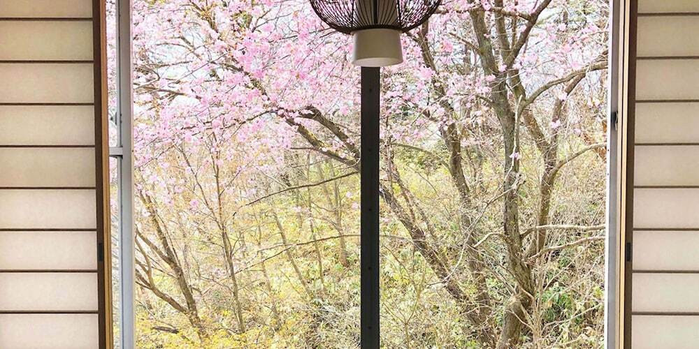 部屋からの景観