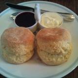 リトルティールーム（リトルティールーム）