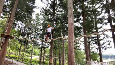 ロープ コース (チーム ビルディング用) / 2