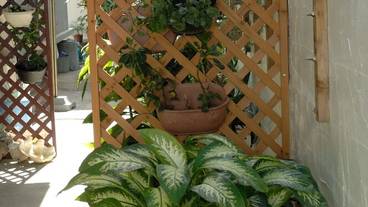 内部エントランス / 2