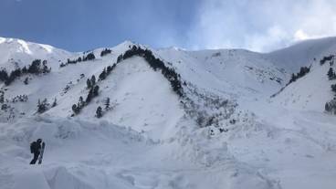 スノー スポーツとスキー / 1