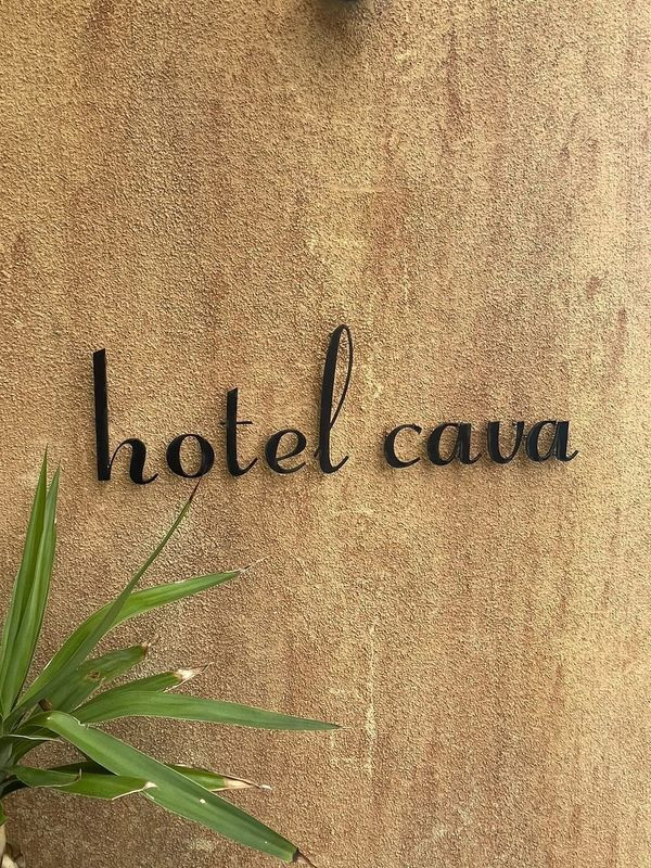 moni.yreyさんの写真 / 3