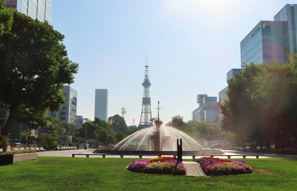札幌の象徴の公園でペットとお散歩1941959