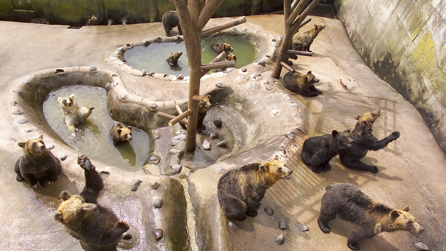 のぼりべつクマ牧場