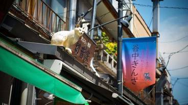 施設からの眺望 / 16