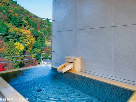 有馬温泉 月光園 鴻朧館 / 1