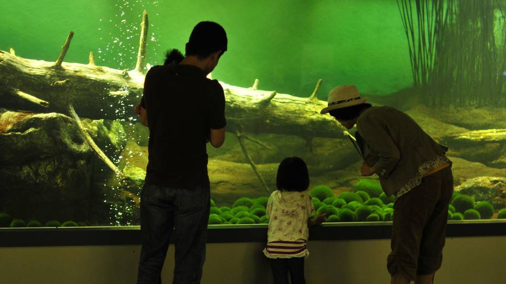 自然のパワーを感じる
絶景の阿寒観光へ / 3