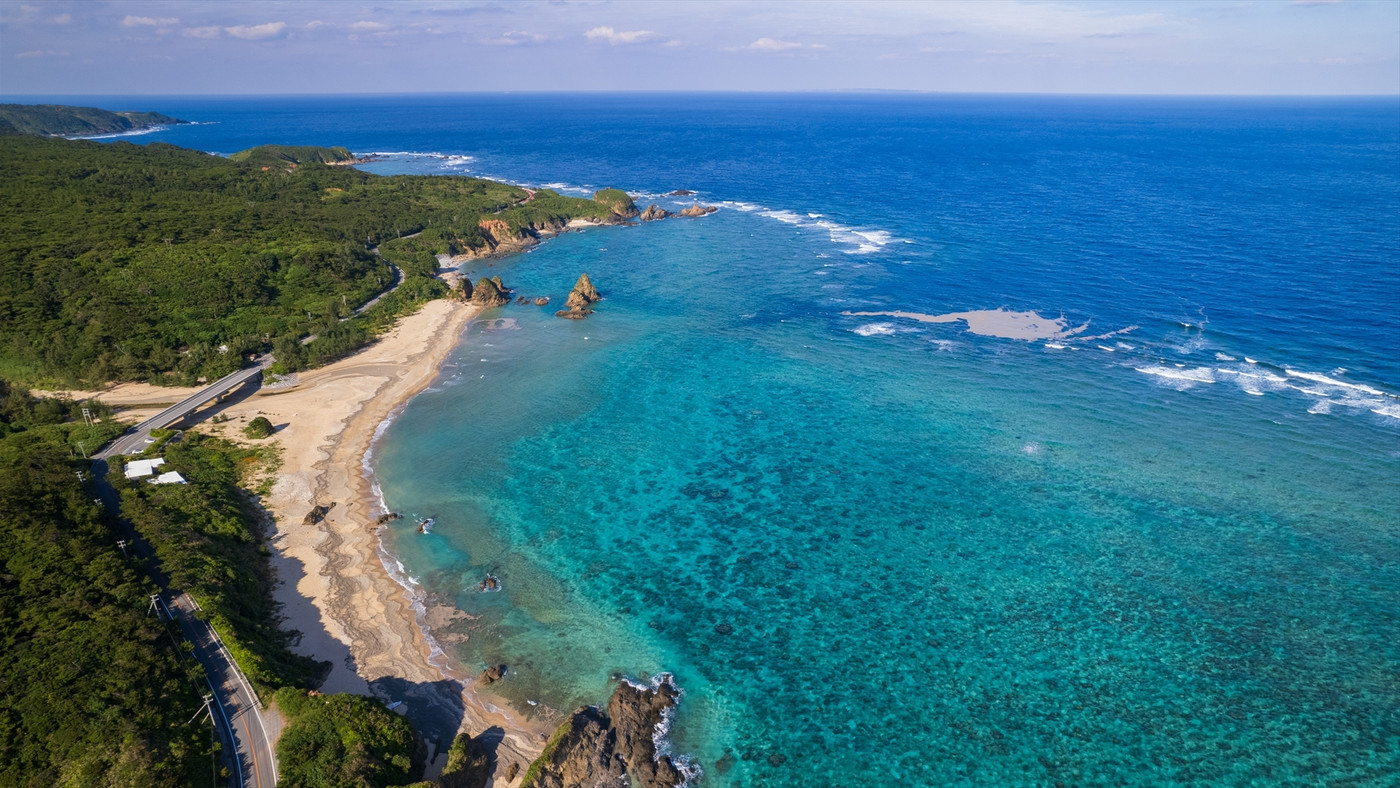 “やんばるの森”を散策！アクティビティ好きにおすすめ4063729