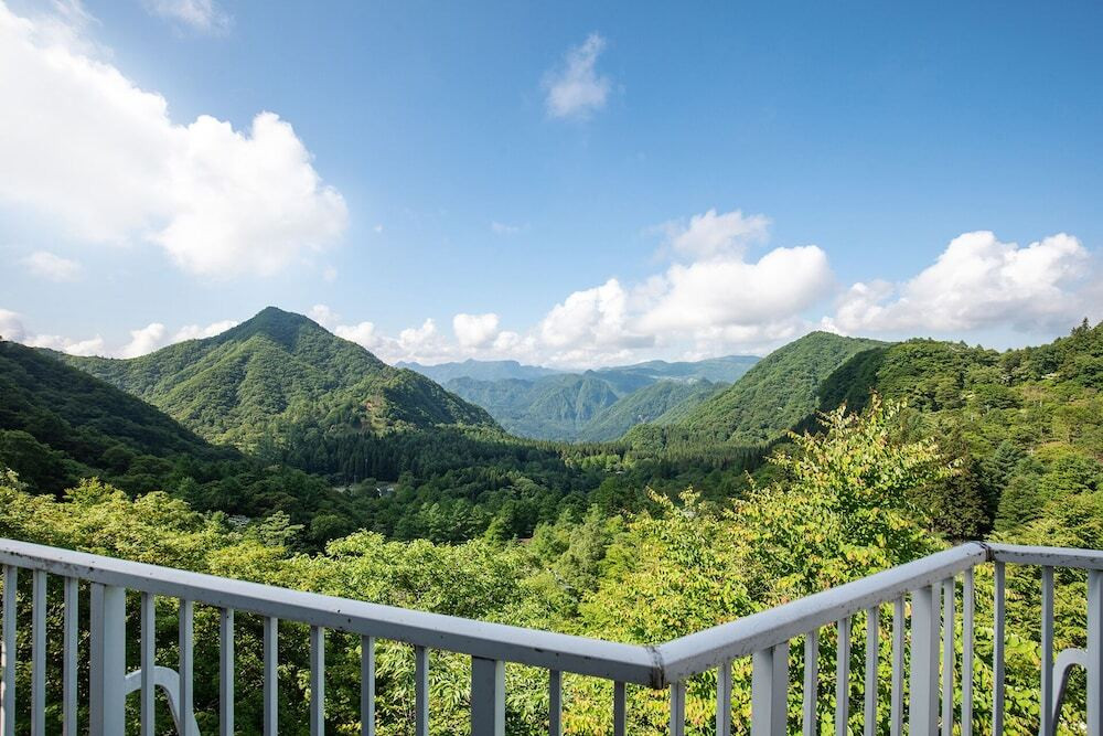 テラス / パティオ