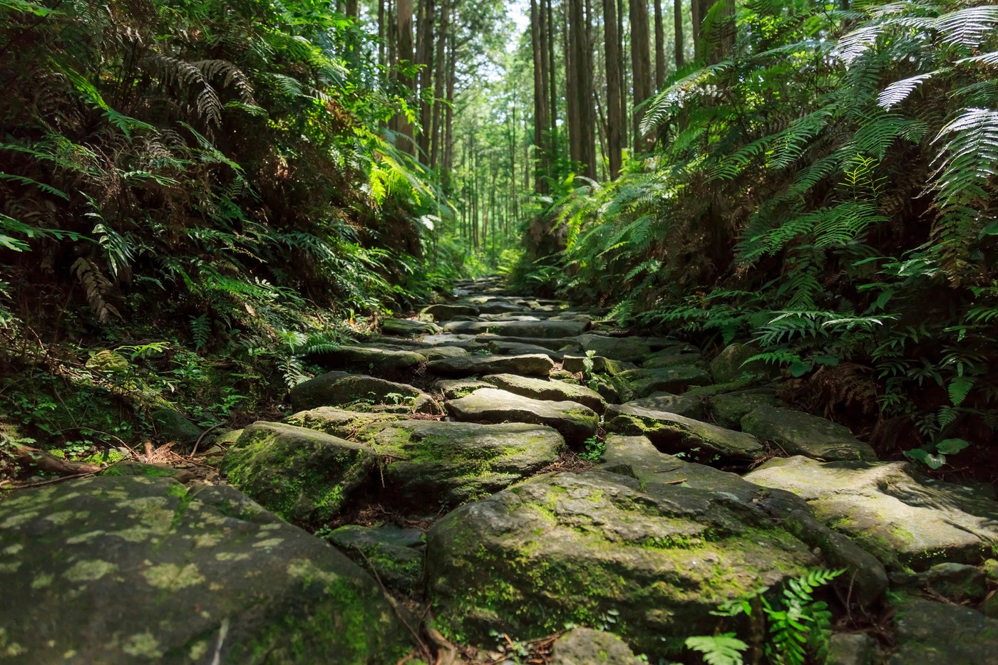 三重県・熊野古道・伊勢路・馬越峠