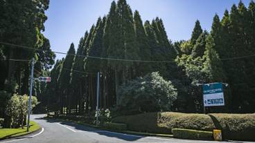 施設からの眺望 / 30