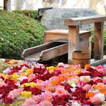 【全国】お姫様気分になれる優雅な時間を。バラ風呂があるホテル10選