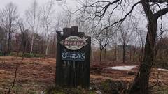 Lake side inn Beehive（ビーハイブ）