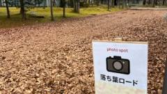 軽井沢マリオットホテル