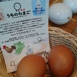 赤坂うまや 新宿(アカサカウマヤ)