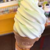 土肥金山 金の砂（トイキンザンキンノスナ）