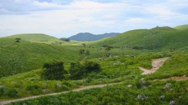 観光スポット / 7