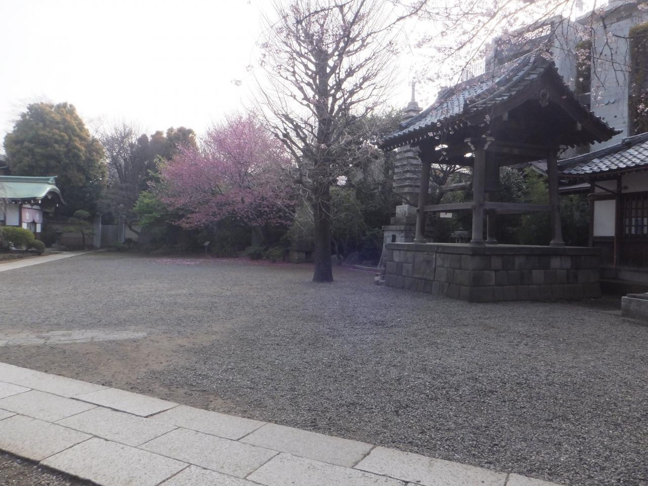 6.新井薬師【中野区】900553