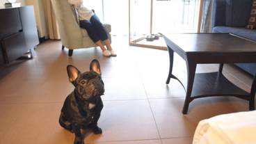 ペット対応ルーム一例 / 3