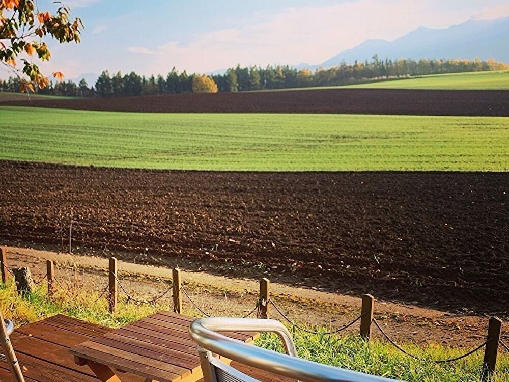 テラス / パティオ