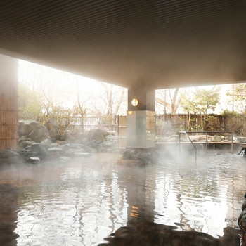 気になる温泉はバラエティー豊か3384810