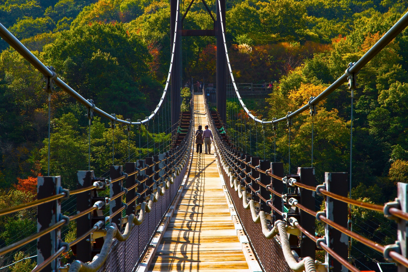 吊り橋「星のブランコ」