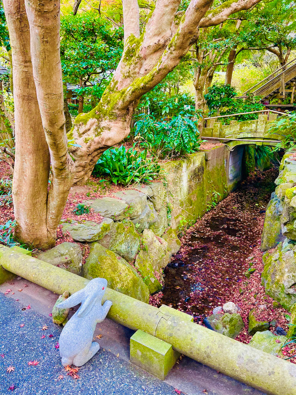 junsuk0804さんの写真 / 5