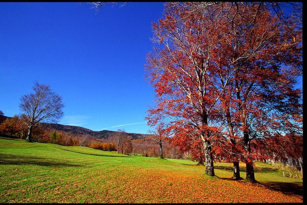 施設からの眺望